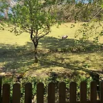 Nyaraló El Viejo Molino *