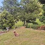 El Viejo Molino Nyaraló *