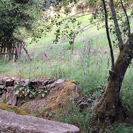 El Viejo Molino Σπίτι διακοπών Lugo