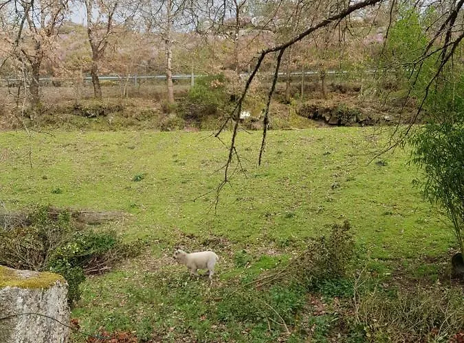 El Viejo Molino Дом отдыха *