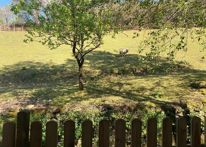 Дом отдыха El Viejo Molino *