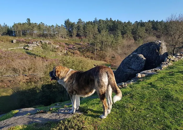 Дом отдыха El Viejo Molino Луго
