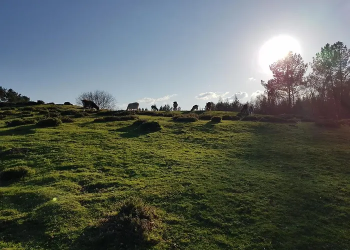 El Viejo Molino Дом отдыха *