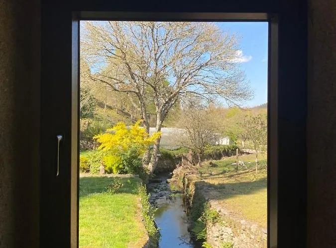 El Viejo Molino *