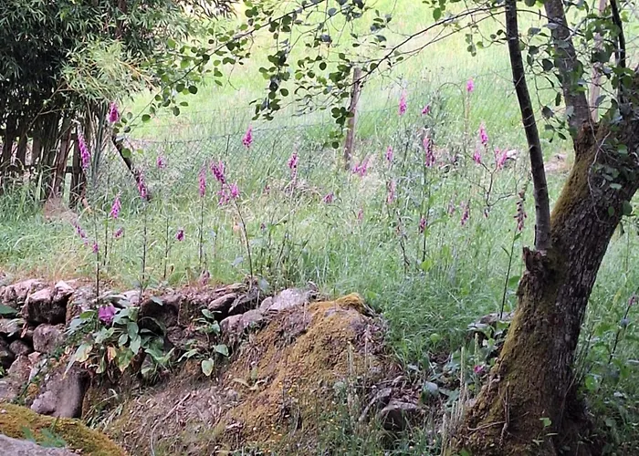 El Viejo Molino Дом отдыха Луго